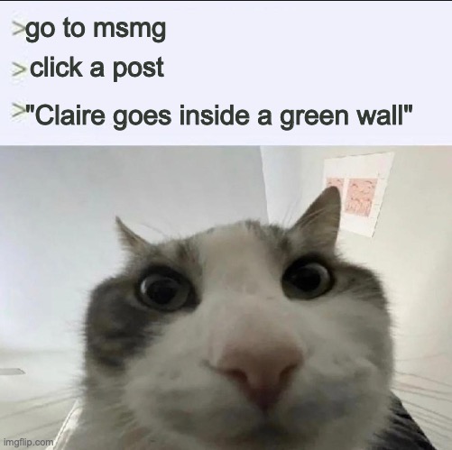 Cat looks inside | go to msmg; click a post; "Claire goes inside a green wall" | image tagged in cat looks inside | made w/ Imgflip meme maker
