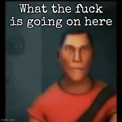 Disappointed Scout | What the fuck is going on here | image tagged in disappointed scout | made w/ Imgflip meme maker