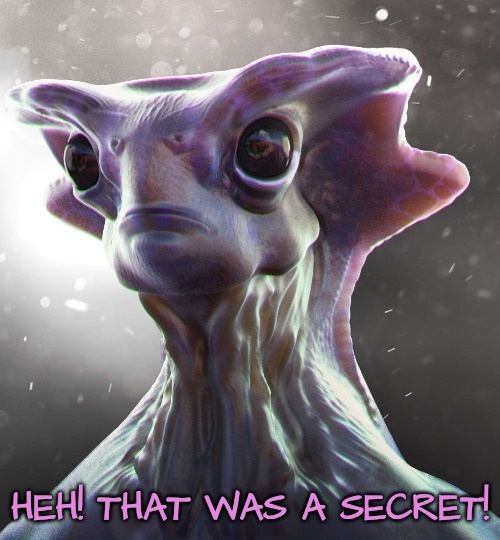 Alien face | HEH! THAT WAS A SECRET! | image tagged in alien face | made w/ Imgflip meme maker