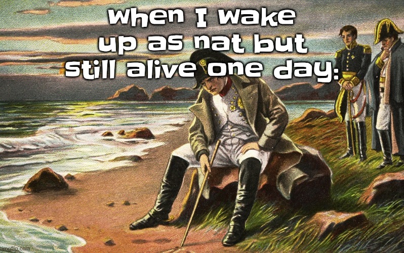 Napoleon | when I wake up as nat but still alive one day: | image tagged in napoleon | made w/ Imgflip meme maker