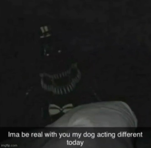 Dog acting different.mp3 | made w/ Imgflip meme maker