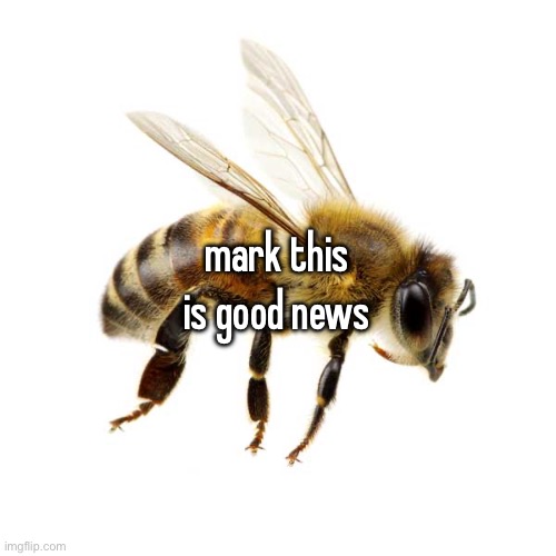 we can finally be bees | mark this is good news | made w/ Imgflip meme maker