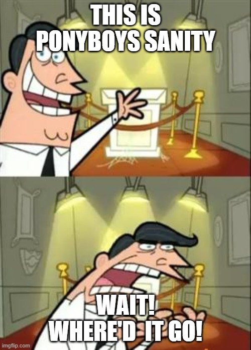 Ponyboy has some issues | THIS IS PONYBOYS SANITY; WAIT! WHERE'D  IT GO! | image tagged in memes,this is where i'd put my trophy if i had one | made w/ Imgflip meme maker