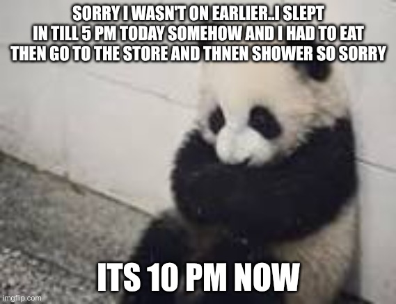 sad panda | SORRY I WASN'T ON EARLIER..I SLEPT IN TILL 5 PM TODAY SOMEHOW AND I HAD TO EAT THEN GO TO THE STORE AND THNEN SHOWER SO SORRY; ITS 10 PM NOW | image tagged in sad panda | made w/ Imgflip meme maker
