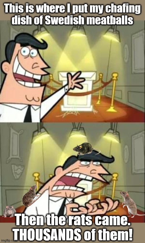 This Is Where I'd Put My Trophy If I Had One | This is where I put my chafing
dish of Swedish meatballs; Then the rats came.
THOUSANDS of them! | image tagged in memes,this is where i'd put my trophy if i had one | made w/ Imgflip meme maker