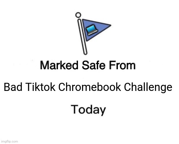 Marked Safe From Meme | 💻; Bad Tiktok Chromebook Challenge | image tagged in memes,tiktok,weird | made w/ Imgflip meme maker