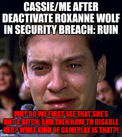 crying peter parker | CASSIE/ME AFTER DEACTIVATE ROXANNE WOLF IN SECURITY BREACH: RUIN; WHY DO WE FIRST SEE THAT SHE'S NOT A BITCH, AND THEN HAVE TO DISABLE HER? WHAT KIND OF GAMEPLAY IS THAT?! | image tagged in crying peter parker | made w/ Imgflip meme maker