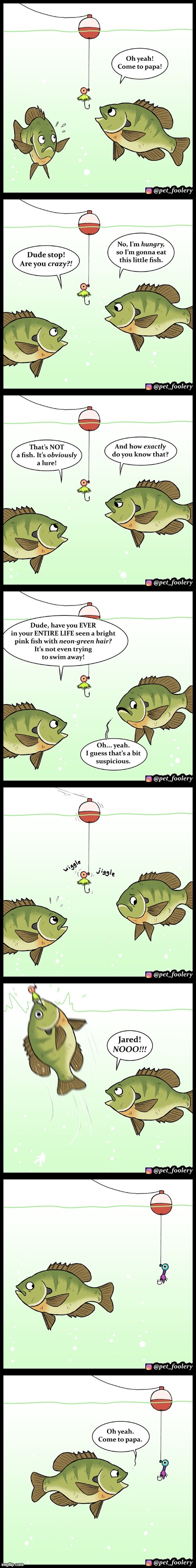 image tagged in fish,fishing,bait | made w/ Imgflip meme maker