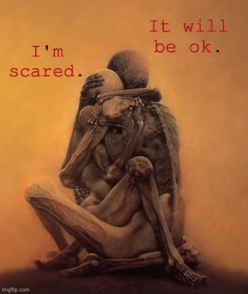 A skeletal embrace | It will be ok. I'm scared. | image tagged in a skeletal embrace | made w/ Imgflip meme maker