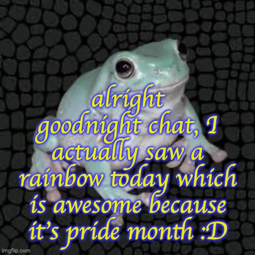 Goodnight :D | alright goodnight chat, I actually saw a rainbow today which is awesome because it's pride month :D | image tagged in white's tree frog | made w/ Imgflip meme maker