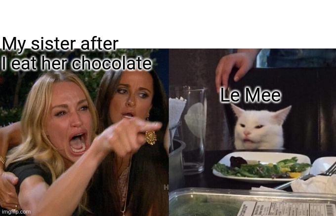 Woman Yelling At Cat | My sister after I eat her chocolate; Le Mee | image tagged in memes,woman yelling at cat | made w/ Imgflip meme maker