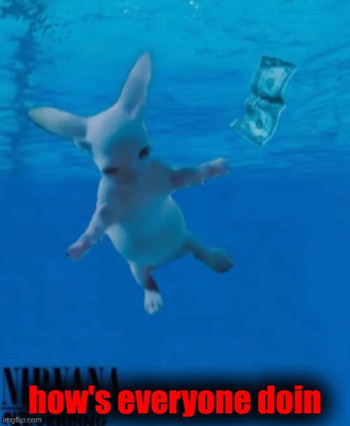 Bingus Nirvana | how's everyone doin | image tagged in bingus nirvana | made w/ Imgflip meme maker