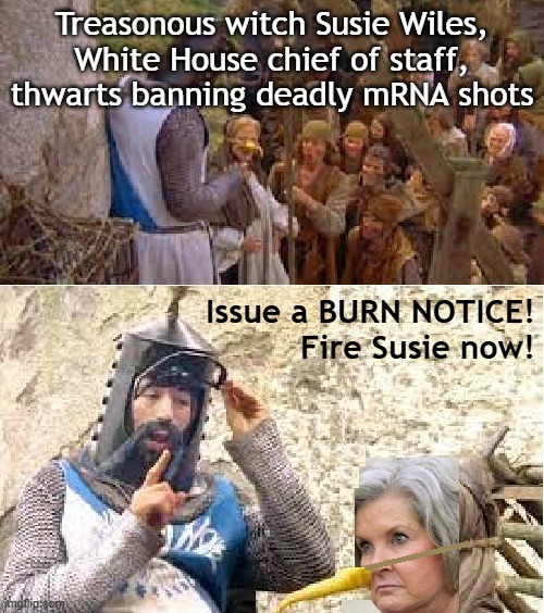 Susie Wiles, White House chief of staff, opposes ban on mRNA bioweapons | Treasonous witch Susie Wiles,
White House chief of staff,
thwarts banning deadly mRNA shots; Issue a BURN NOTICE!
Fire Susie now! | image tagged in donald trump,trump,white house,vaccines,vaccine,covid vaccine | made w/ Imgflip meme maker