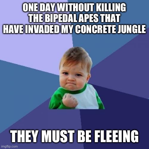 Retreat bozo | ONE DAY WITHOUT KILLING THE BIPEDAL APES THAT HAVE INVADED MY CONCRETE JUNGLE; THEY MUST BE FLEEING | image tagged in memes,success kid | made w/ Imgflip meme maker