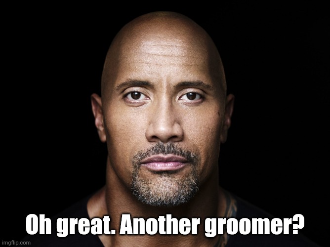 Really MSMG? Can we not do better? | Oh great. Another groomer? | image tagged in the rock stare | made w/ Imgflip meme maker