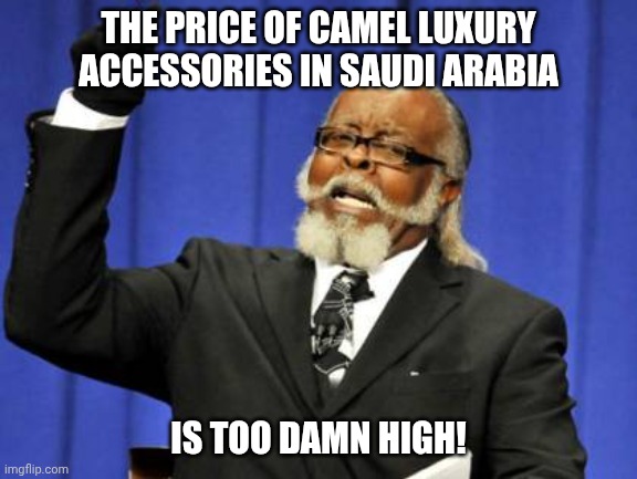 Too Damn High Meme Saudi Arabia | THE PRICE OF CAMEL LUXURY ACCESSORIES IN SAUDI ARABIA; IS TOO DAMN HIGH! | image tagged in memes,too damn high,funny,saudi arabia,camel | made w/ Imgflip meme maker