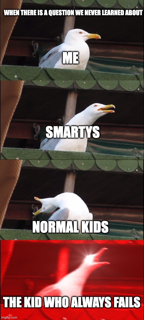 Inhaling Seagull | WHEN THERE IS A QUESTION WE NEVER LEARNED ABOUT; ME; SMARTYS; NORMAL KIDS; THE KID WHO ALWAYS FAILS | image tagged in memes,inhaling seagull | made w/ Imgflip meme maker