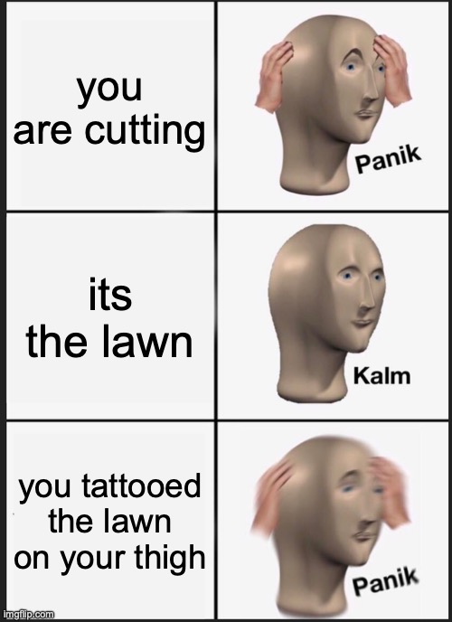 the lawn | you are cutting; its the lawn; you tattooed the lawn on your thigh | image tagged in memes,panik kalm panik | made w/ Imgflip meme maker