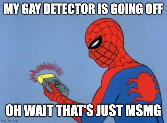 spiderman detector | MY GAY DETECTOR IS GOING OFF; OH WAIT THAT'S JUST MSMG | image tagged in spiderman detector | made w/ Imgflip meme maker