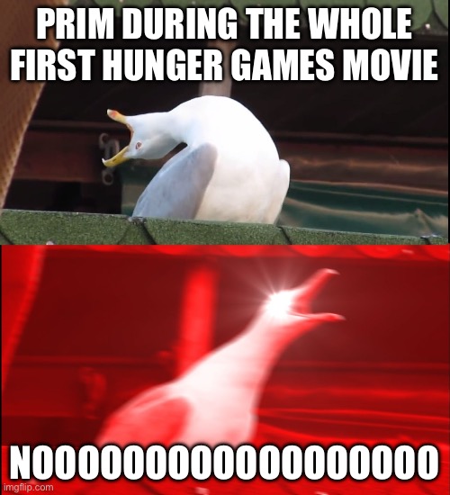 Screaming bird | PRIM DURING THE WHOLE FIRST HUNGER GAMES MOVIE; NOOOOOOOOOOOOOOOOOO | image tagged in screaming bird | made w/ Imgflip meme maker
