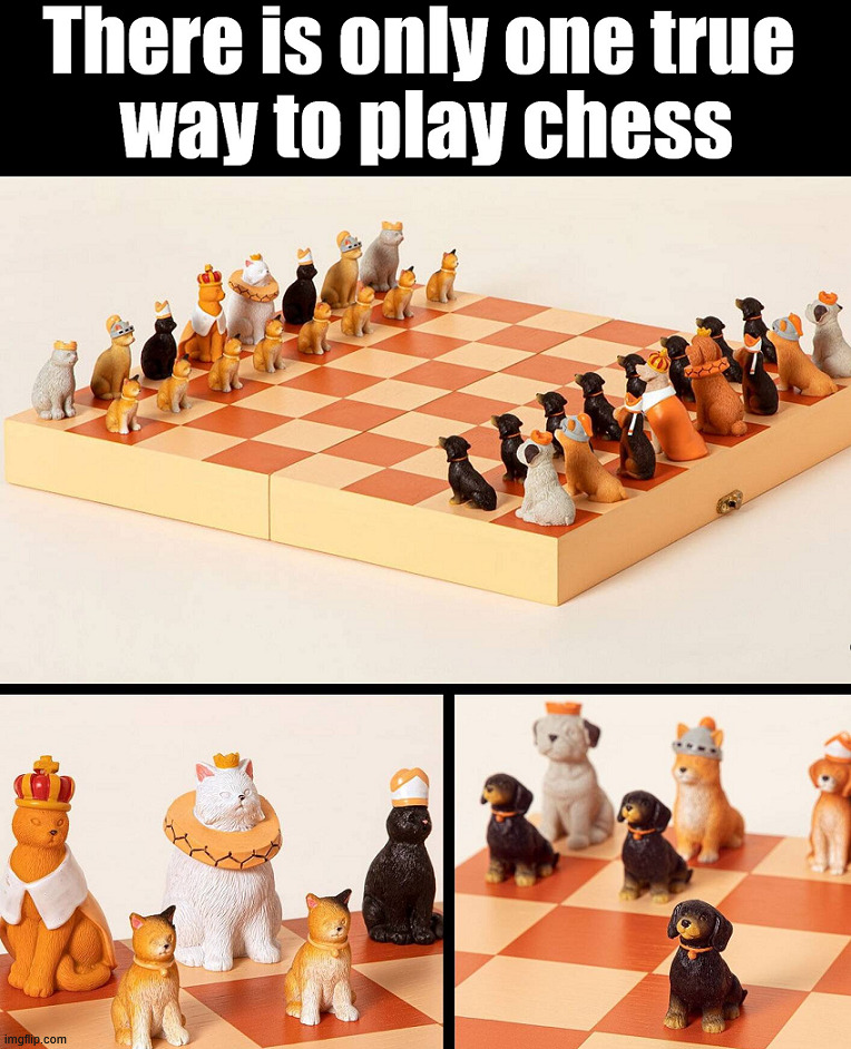 A set I would like | image tagged in cats and dogs | made w/ Imgflip meme maker