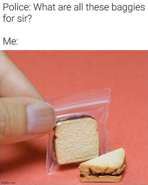 Little sandwiches | image tagged in baggies | made w/ Imgflip meme maker