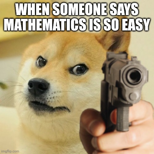 Doge holding a gun | WHEN SOMEONE SAYS MATHEMATICS IS SO EASY | image tagged in doge holding a gun | made w/ Imgflip meme maker