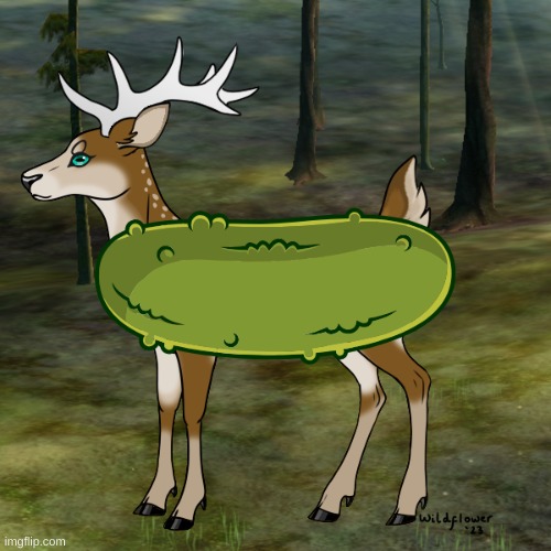 dill doe (GM YALL) | image tagged in dill doe | made w/ Imgflip meme maker