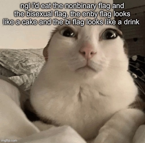 goober | ngl i'd eat the nonbinary flag and the bisexual flag, the enby flag looks like a cake and the bi flag looks like a drink | image tagged in goober | made w/ Imgflip meme maker