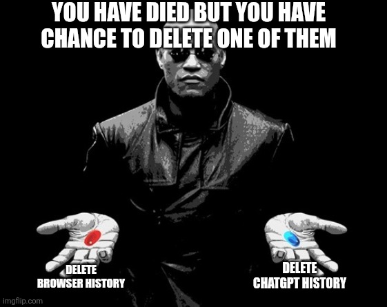 TITLE_2 | YOU HAVE DIED BUT YOU HAVE CHANCE TO DELETE ONE OF THEM; DELETE BROWSER HISTORY; DELETE CHATGPT HISTORY | image tagged in memes | made w/ Imgflip meme maker
