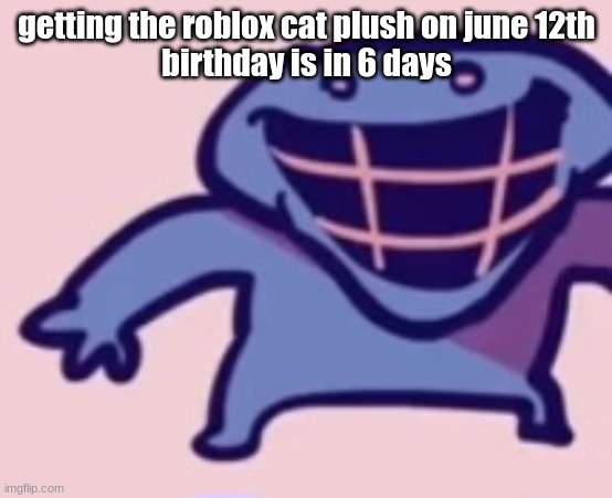 dud 5 | getting the roblox cat plush on june 12th
birthday is in 6 days | image tagged in dud 5 | made w/ Imgflip meme maker