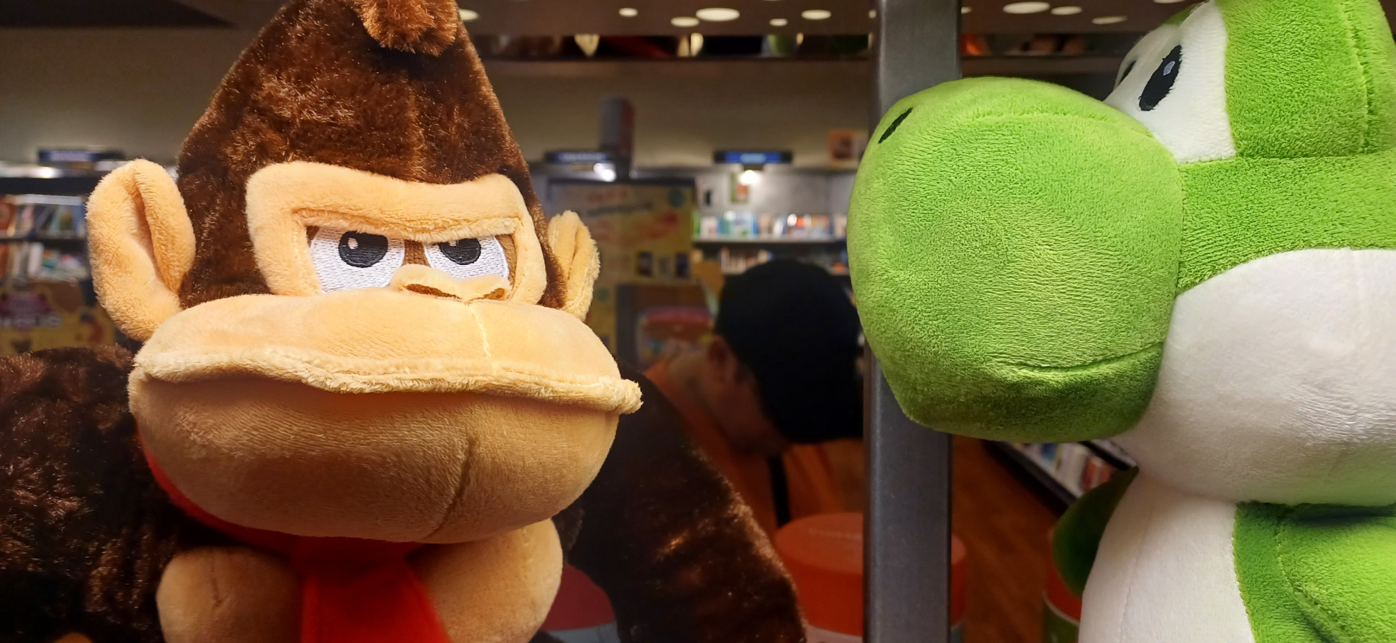Angry Dk and imposing Yoshi Blank Meme Template