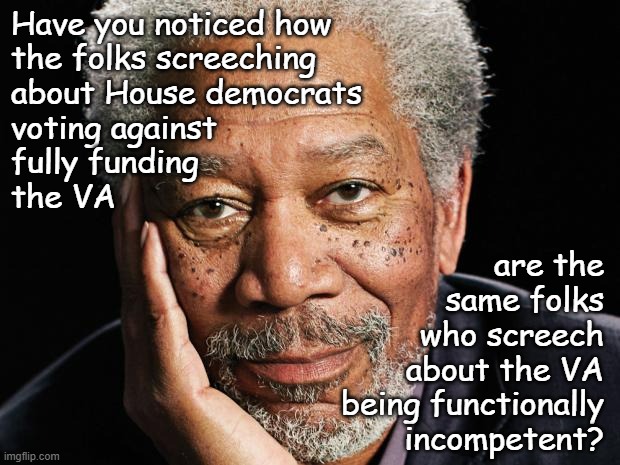 Pick a lane, bro. | Have you noticed how
the folks screeching
about House democrats
voting against
fully funding
the VA; are the
same folks
who screech
about the VA
being functionally
incompetent? | image tagged in morgan freeman,bruh | made w/ Imgflip meme maker