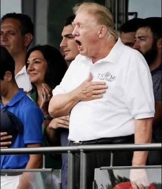 Trump fat Blank Meme Template
