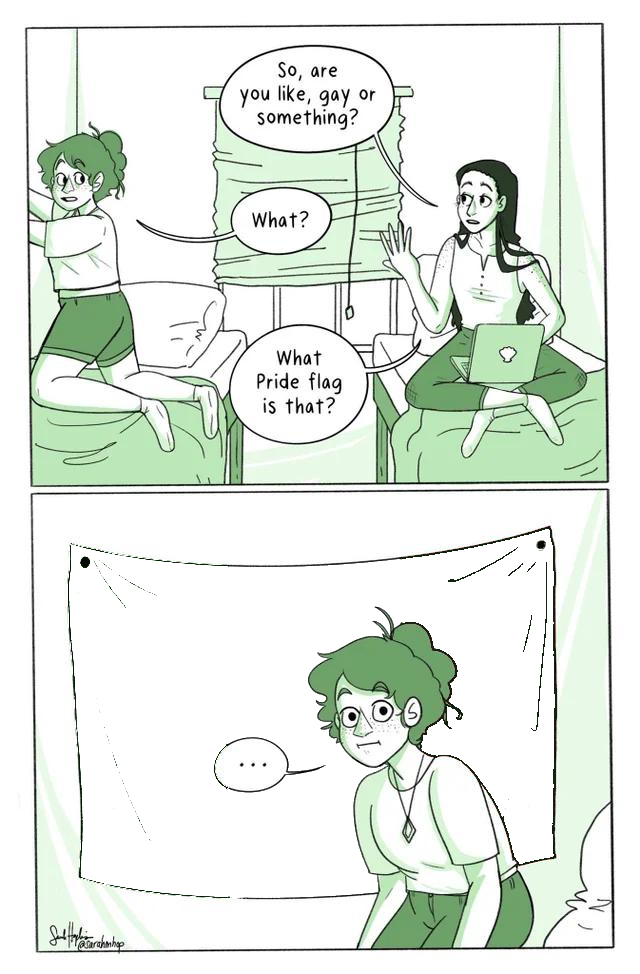 What is your pride flag Blank Meme Template