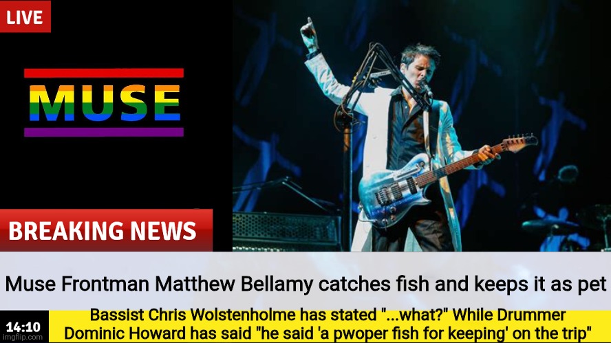Weird dream I had | Muse Frontman Matthew Bellamy catches fish and keeps it as pet; Bassist Chris Wolstenholme has stated "...what?" While Drummer Dominic Howard has said "he said 'a pwoper fish for keeping' on the trip" | image tagged in breaking news template | made w/ Imgflip meme maker
