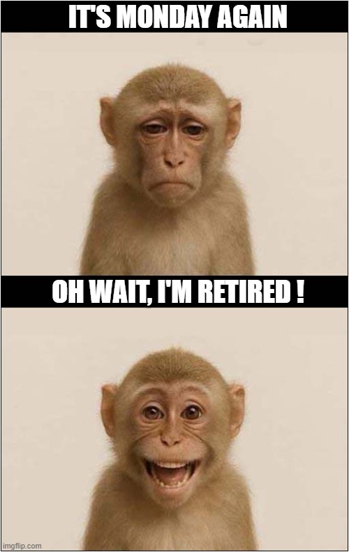 Being Old ... Not All Bad ! | IT'S MONDAY AGAIN; OH WAIT, I'M RETIRED ! | image tagged in old,monday mornings,retired | made w/ Imgflip meme maker