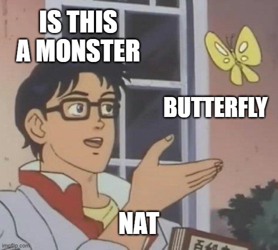 Is This A Pigeon Meme | IS THIS A MONSTER BUTTERFLY NAT | image tagged in memes,is this a pigeon | made w/ Imgflip meme maker