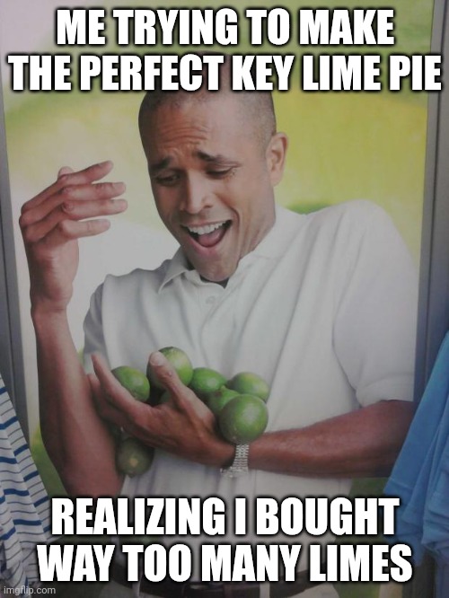 This AI meme actually makes sense | ME TRYING TO MAKE THE PERFECT KEY LIME PIE; REALIZING I BOUGHT WAY TOO MANY LIMES | image tagged in memes,why can't i hold all these limes | made w/ Imgflip meme maker