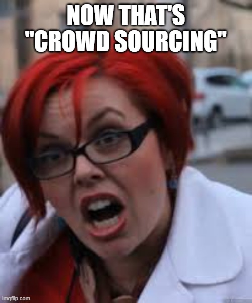 SJW Triggered | NOW THAT'S "CROWD SOURCING" | image tagged in sjw triggered | made w/ Imgflip meme maker