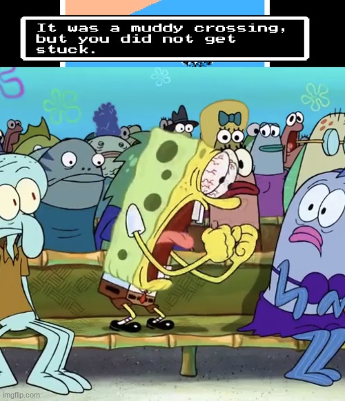 image tagged in spongebob yelling | made w/ Imgflip meme maker