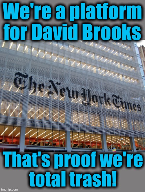 New York Times | We're a platform
for David Brooks That's proof we're
total trash! | image tagged in new york times | made w/ Imgflip meme maker
