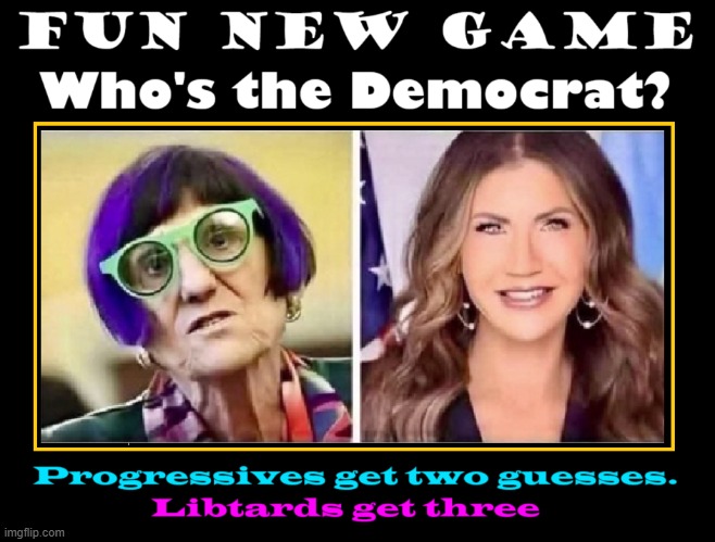 WHO'S THAT LADY? (the crazy or the sane one) | image tagged in vince vance,democrat,republican,kristi noem,progressives,liberals | made w/ Imgflip meme maker