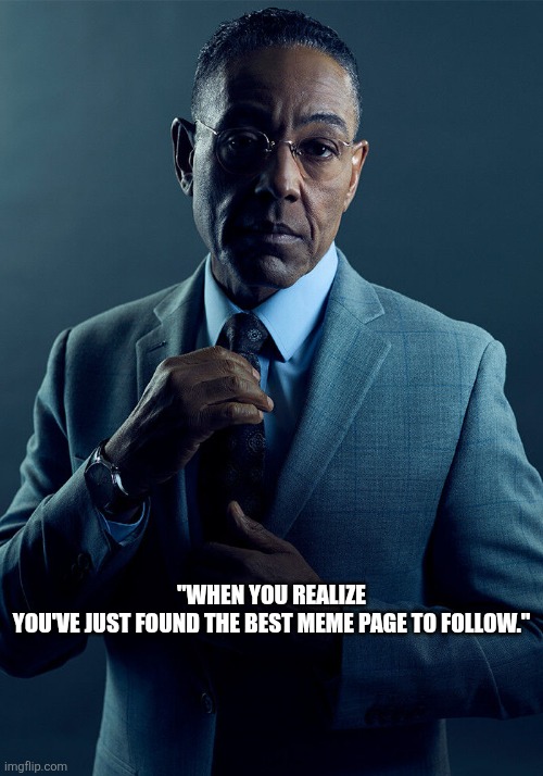 Gus Fring we are not the same | "WHEN YOU REALIZE YOU'VE JUST FOUND THE BEST MEME PAGE TO FOLLOW." | image tagged in gus fring we are not the same | made w/ Imgflip meme maker