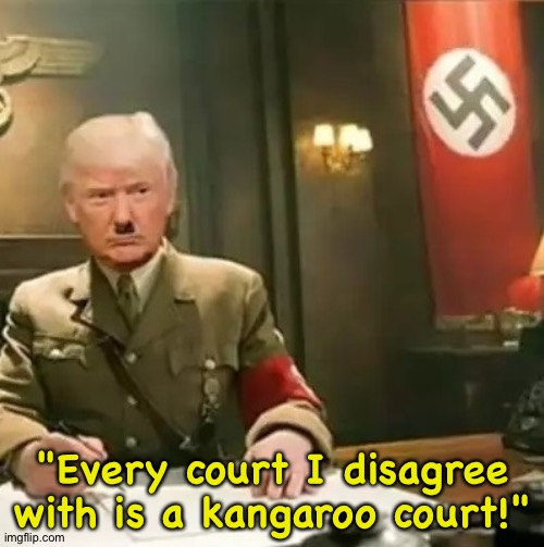 Donald Trump Hitler | "Every court I disagree with is a kangaroo court!" | image tagged in donald trump hitler | made w/ Imgflip meme maker