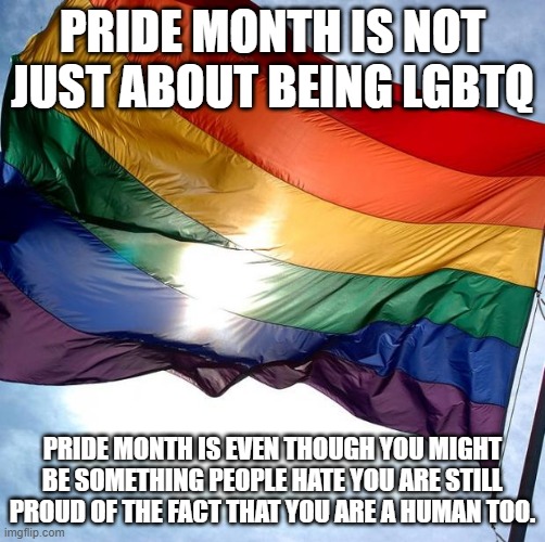 Pride | PRIDE MONTH IS NOT JUST ABOUT BEING LGBTQ; PRIDE MONTH IS EVEN THOUGH YOU MIGHT BE SOMETHING PEOPLE HATE YOU ARE STILL PROUD OF THE FACT THAT YOU ARE A HUMAN TOO. | image tagged in pride | made w/ Imgflip meme maker