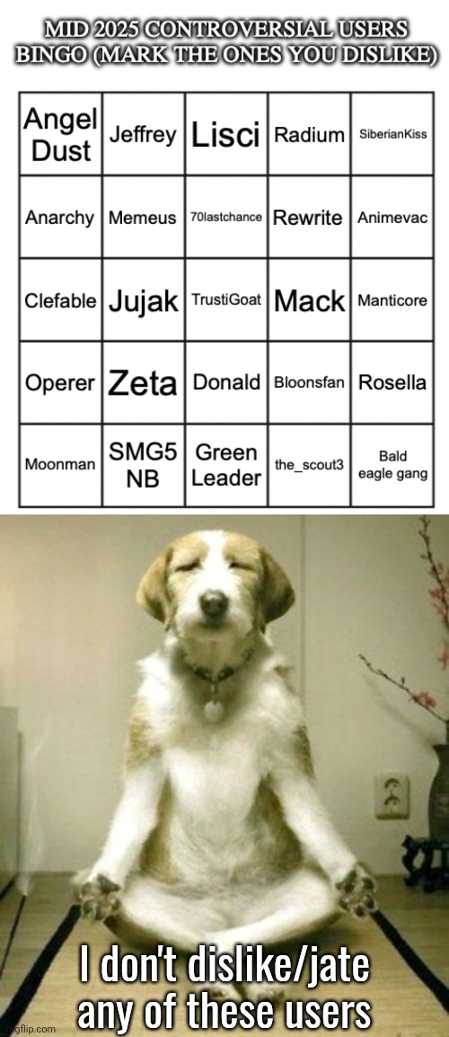 I don't dislike/jate any of these users | image tagged in mid 2025 controversial users bingo,inner peace dog | made w/ Imgflip meme maker