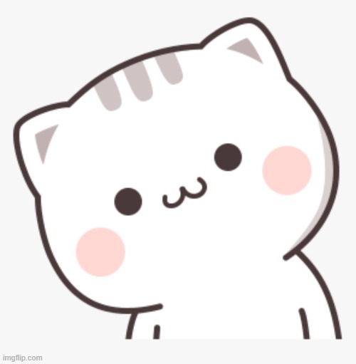 Kawaii Cat 6 | image tagged in kawaii cat 6 | made w/ Imgflip meme maker
