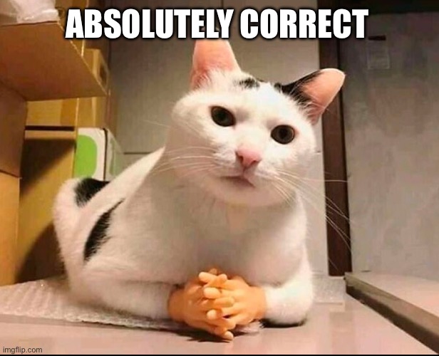 ABSOLUTELY CORRECT | made w/ Imgflip meme maker