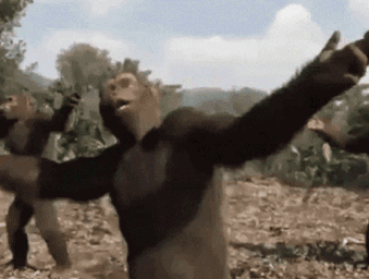 danceing monkeys Blank Meme Template